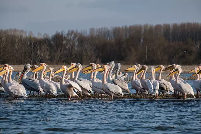 Delta Ohio parks and nature trails,Things to do in Delta Ohio,Delta Ohio family-friendly attractions