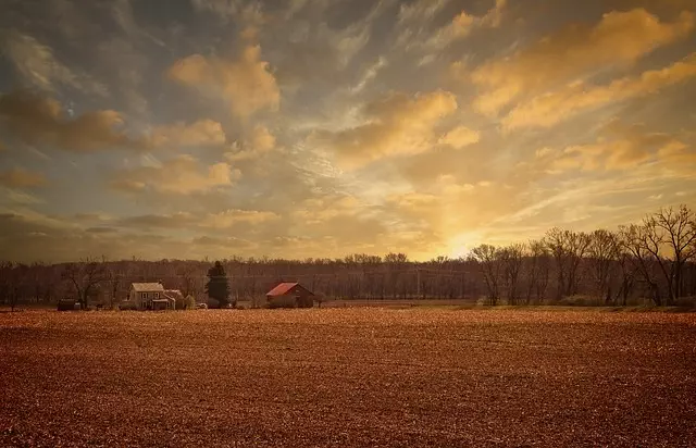 Delta Ohio parks and nature trails,Things to do in Delta Ohio,Delta Ohio family-friendly attractions