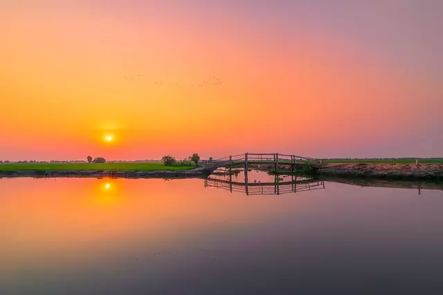 Delta Ohio parks and nature trails,Things to do in Delta Ohio,Delta Ohio family-friendly attractions