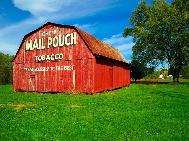 Delta Ohio parks and nature trails,Things to do in Delta Ohio,Delta Ohio family-friendly attractions
