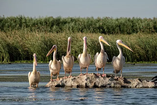 Delta Ohio parks and nature trails,Things to do in Delta Ohio,Delta Ohio family-friendly attractions