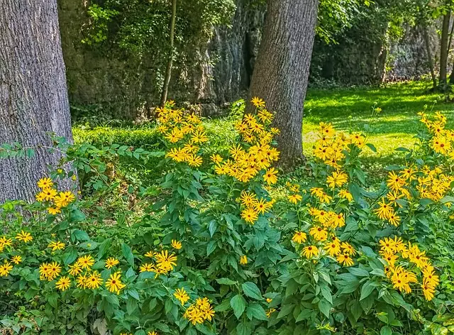 Delta Ohio parks and nature trails,Things to do in Delta Ohio,Delta Ohio family-friendly attractions