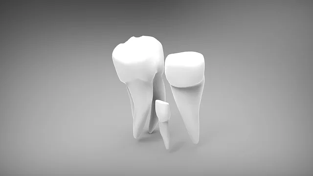 Dentist Maumee Ohio,Dentist,General dentistry 