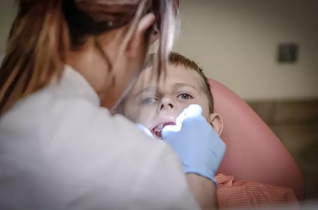 Dentist Maumee Ohio,Dentist,General dentistry 