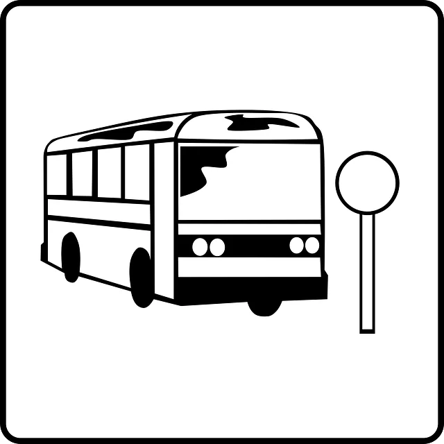 party bus rental downtown toledo ohio,party bus rental,affordable party bus for rental