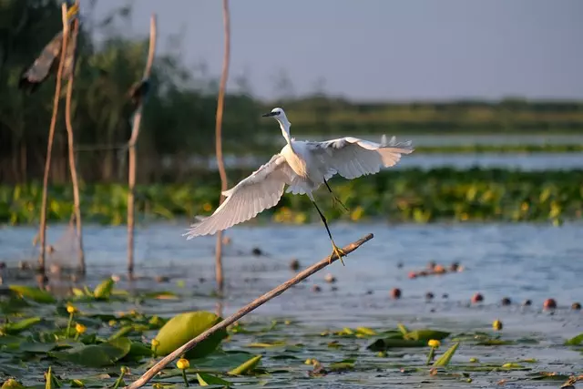 Delta Ohio parks and nature trails,Things to do in Delta Ohio,Delta Ohio family-friendly attractions
