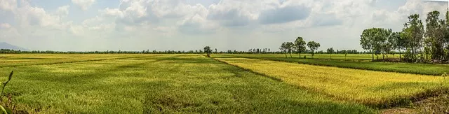 Delta Ohio parks and nature trails,Things to do in Delta Ohio,Delta Ohio family-friendly attractions