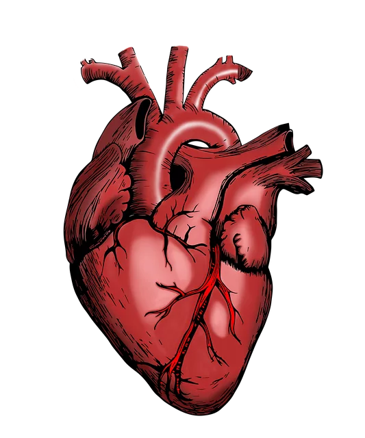 Medical Scrib Services Toledo Ohio, Medical Scrib Services, Medical Scribing
