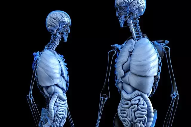 Medical Scrib Services Toledo Ohio, Medical Scrib Services, Medical Scribing