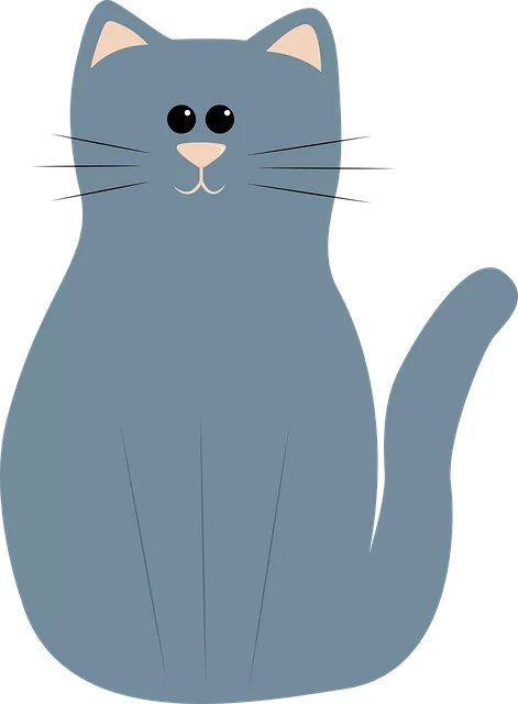 Pet Sitting