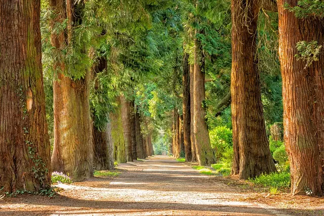 Things to do in Sylvania Ohio,Sylvania Ohio parks and nature trails,Sylvania Ohio local attractions