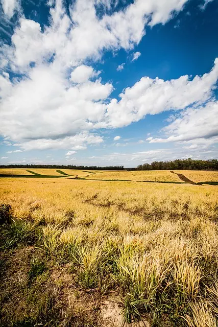 Things to do in Sylvania Ohio,Sylvania Ohio parks and nature trails,Sylvania Ohio local attractions