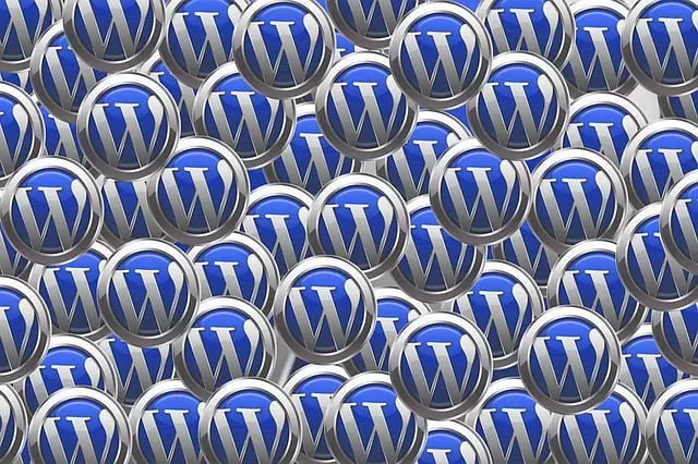 WordPress themes,Responsive WordPress design,E-commerce WordPress sites