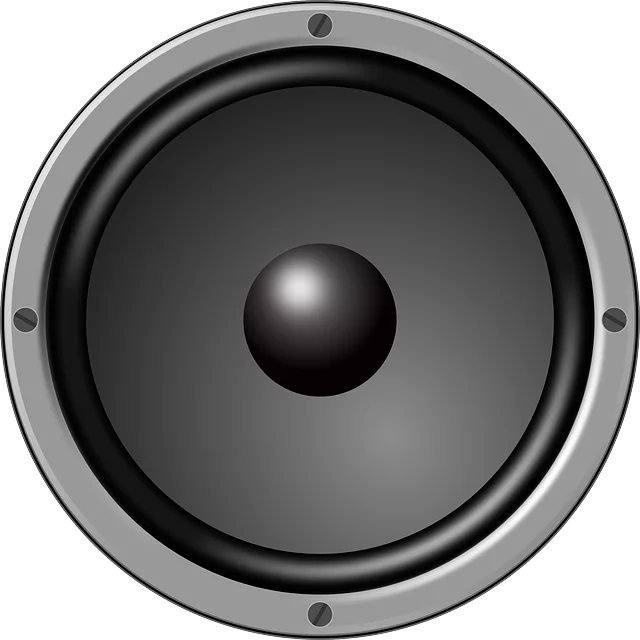 car speaker installation toledo,diy car speaker installation,professional car speaker installation