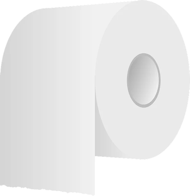 Toilet Installation Tools Toledo, Toilet Installation Process,DIY Toilet Installation