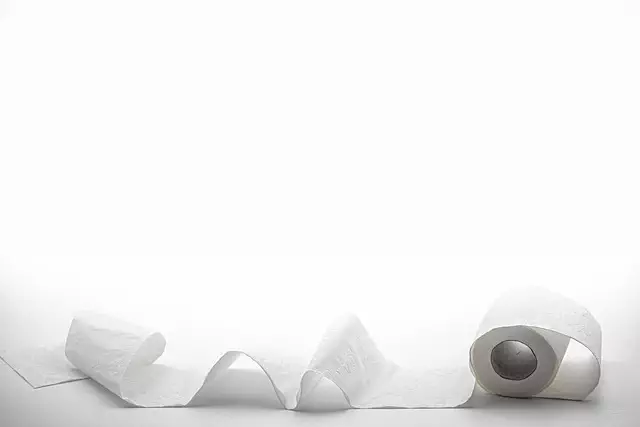 Toilet Installation Tools Toledo, Toilet Installation Process,DIY Toilet Installation