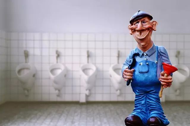 Toilet Repair Experts Toledo,toilet repair techniques,toilet troubleshooting guide