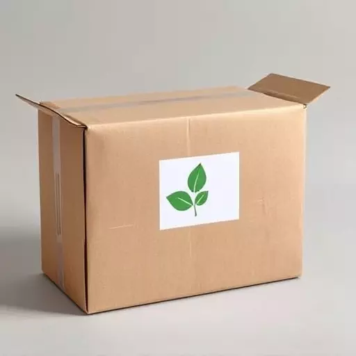 fragile packaging solutions , custom fragile packaging , eco-friendly fragile packaging