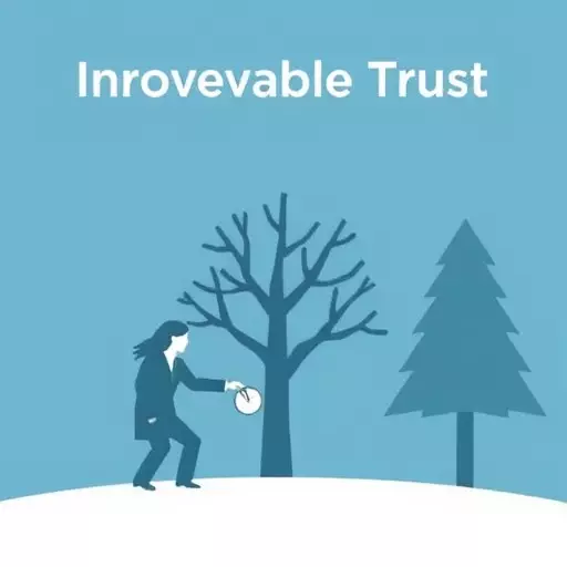 irrevocable trust planning attorney palo alto california,benefits of irrevocable trusts,challenges of irrevocable trust planning