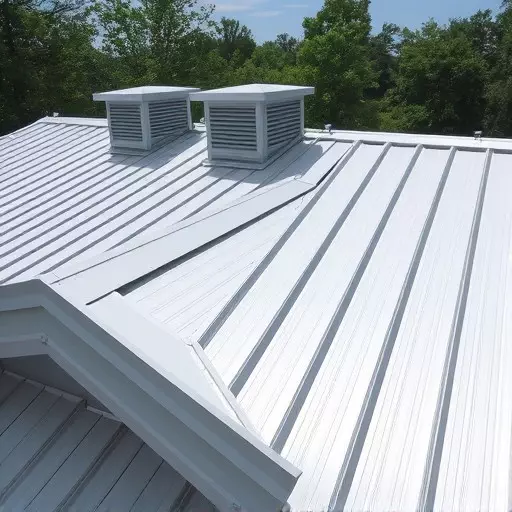 long-lasting metal roofing solutions appleton wisconsin,standing seam metal roofs,corrugated metal roofing