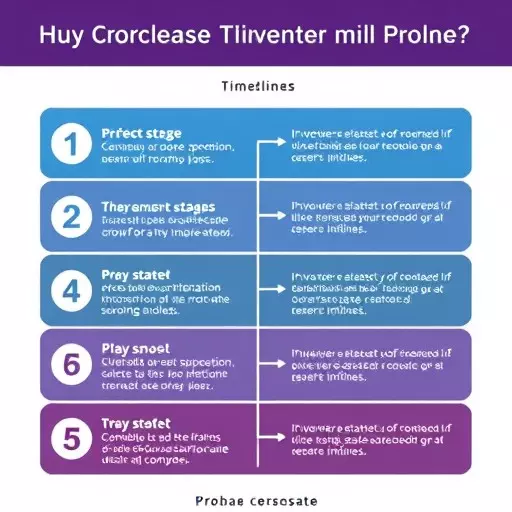 probate timeline expert palo alto california,probate timeline stages,estate settlement process