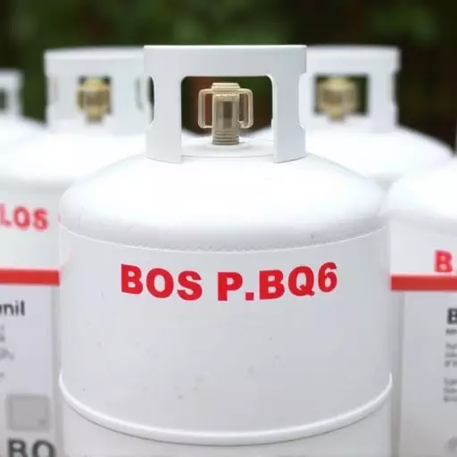 propane cylinder refills for bbq grills camden new jersey,propane cylinder refill benefits for bbq grills,affordable propane refills for grills