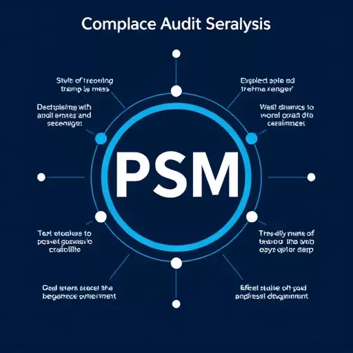 psm compliance audit services,psm compliance audit methodology,psm gap analysis