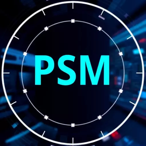 psm compliance audit services,psm compliance audit methodology,psm gap analysis