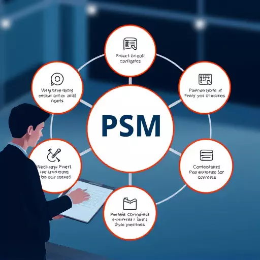 psm compliance audit services,psm compliance audit methodology,psm gap analysis