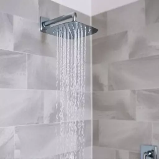 Shower Repair Toledo,Shower repair,Benefits of professional shower repair
