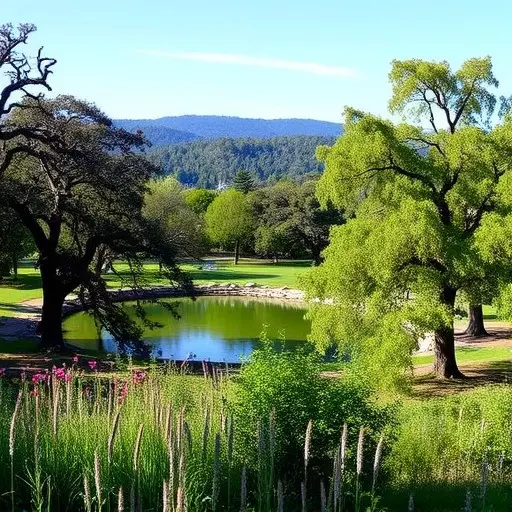 Things to do in Palo Alto California,Palo Alto California attractions,Palo Alto California parks and nature reserves