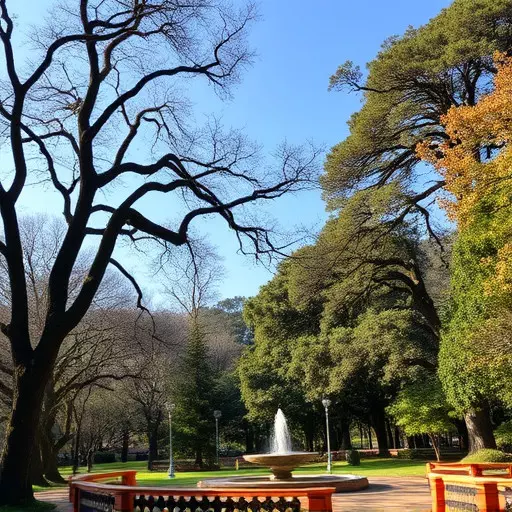 Things to do in Palo Alto California,Palo Alto California attractions,Palo Alto California parks and nature reserves
