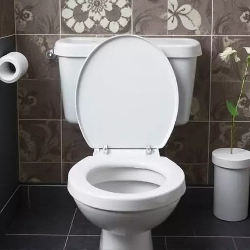Toilet Repair Experts Toledo,toilet repair techniques,toilet troubleshooting guide