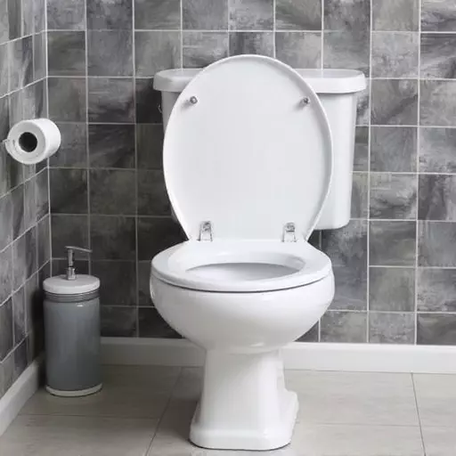 Toilet Repair Experts Toledo,toilet repair techniques,toilet troubleshooting guide