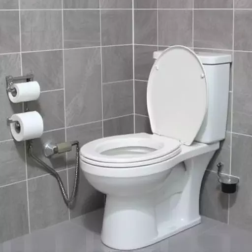 Toilet Repair Experts Toledo,toilet repair techniques,toilet troubleshooting guide