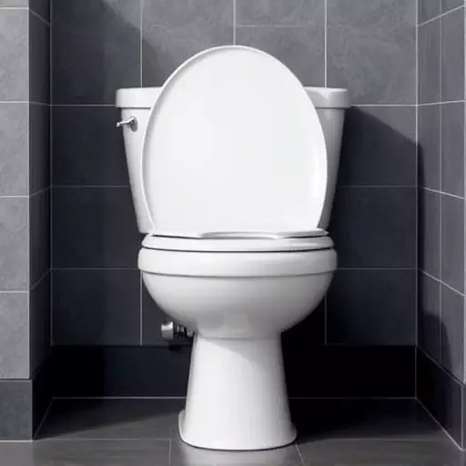 Toilet Repair Experts Toledo,toilet repair techniques,toilet troubleshooting guide