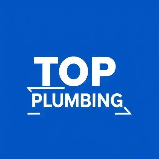 Top-Rated Plumbing Toledo,Plumbing Service Review,Emergency Plumbing Services