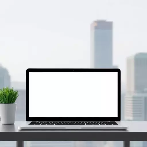 Website development services Toledo,Front-end development,Back-end development