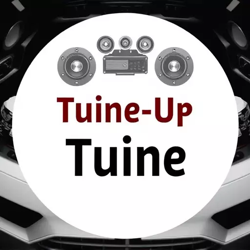 car audio system tune-up toledo,diy car audio tune-up,professional car audio tuning