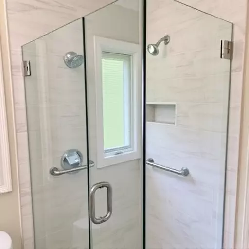 frameless shower door repair lake Orion Michigan,frameless shower door maintenance,frameless shower door seal replacement