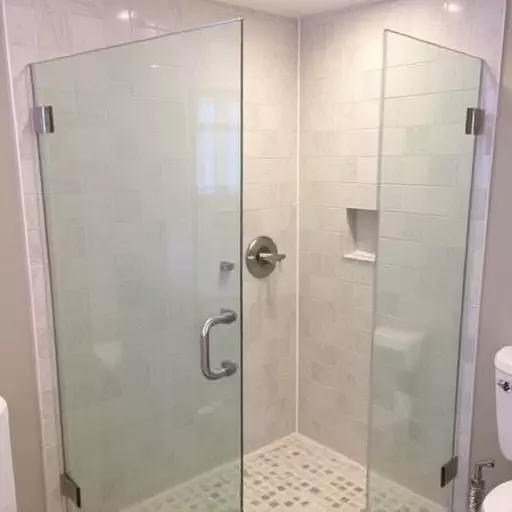 frameless shower door repair lake Orion Michigan,frameless shower door maintenance,frameless shower door seal replacement