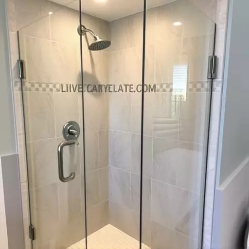 frameless shower door repair lake Orion Michigan,frameless shower door maintenance,frameless shower door seal replacement