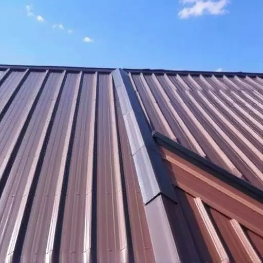 long-lasting metal roofing solutions appleton wisconsin,standing seam metal roofs,corrugated metal roofing