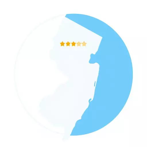 online review monitoring in New Jersey,customer feedback management,review response strategies