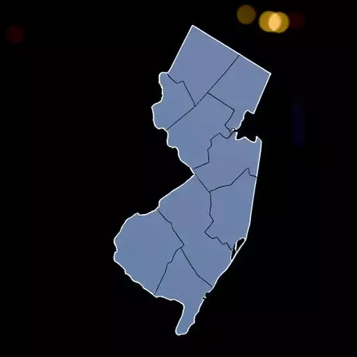 online review monitoring in New Jersey,customer feedback management,review response strategies