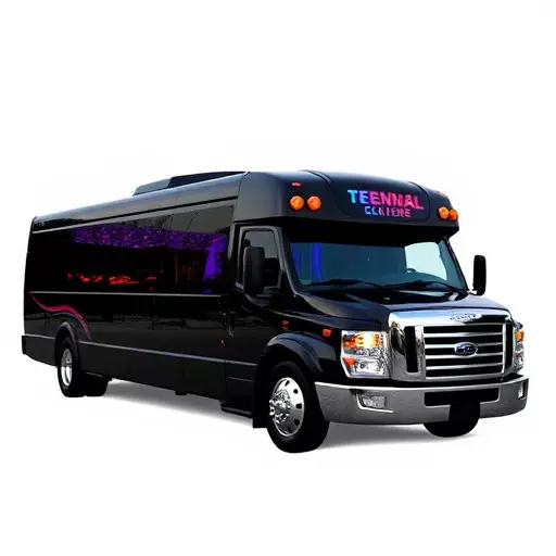 party bus rentals for events,luxury party bus rentals,affordable event bus charters