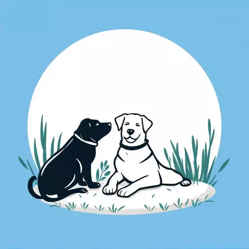 Pet Sitting
