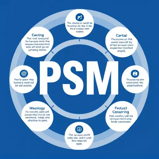 psm compliance audit services,psm compliance audit methodology,psm gap analysis