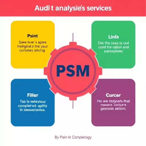 psm compliance audit services,psm compliance audit methodology,psm gap analysis