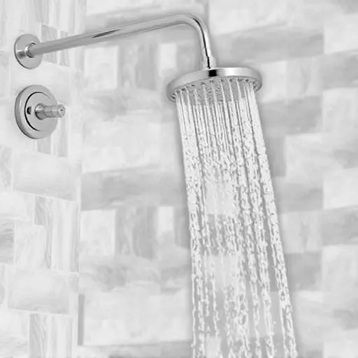 Shower Repair Toledo,Shower repair,Benefits of professional shower repair